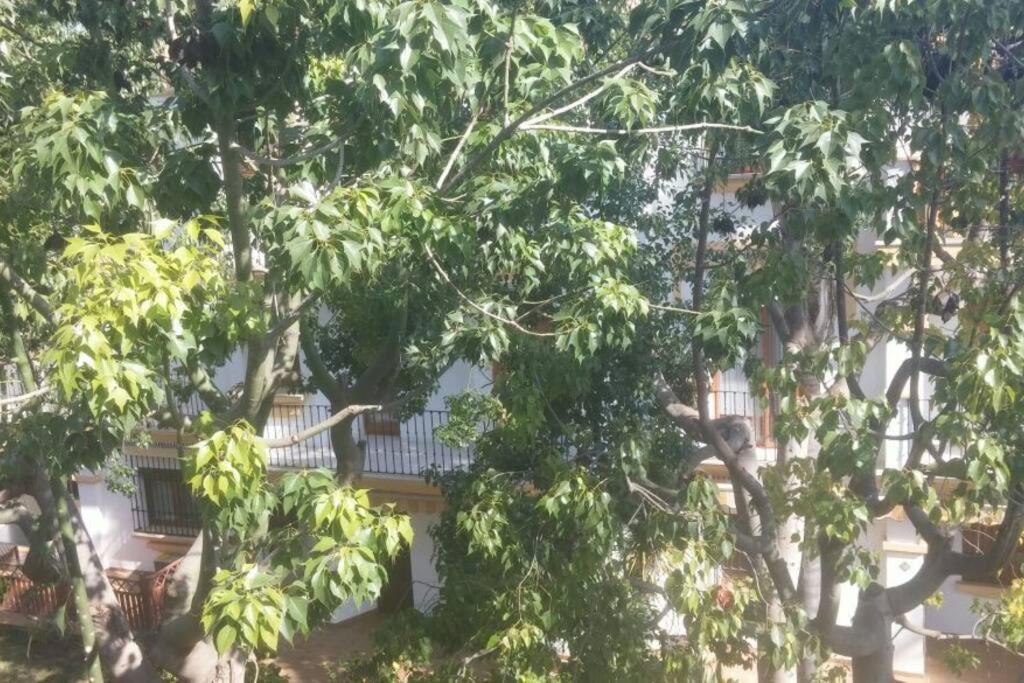 Apartamento Increible En Denia Urb El Patio Eksteriør billede